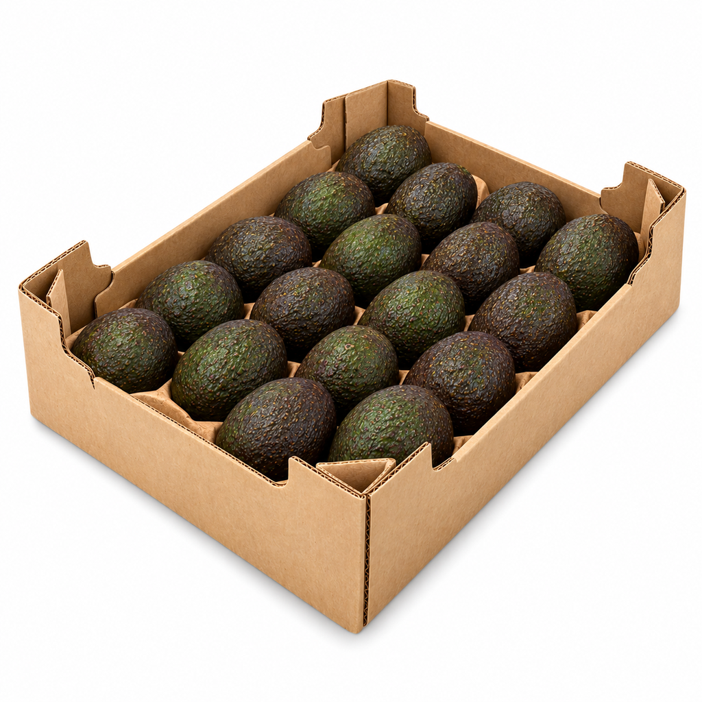 [9056] Avocado ungereift 18er Kiste