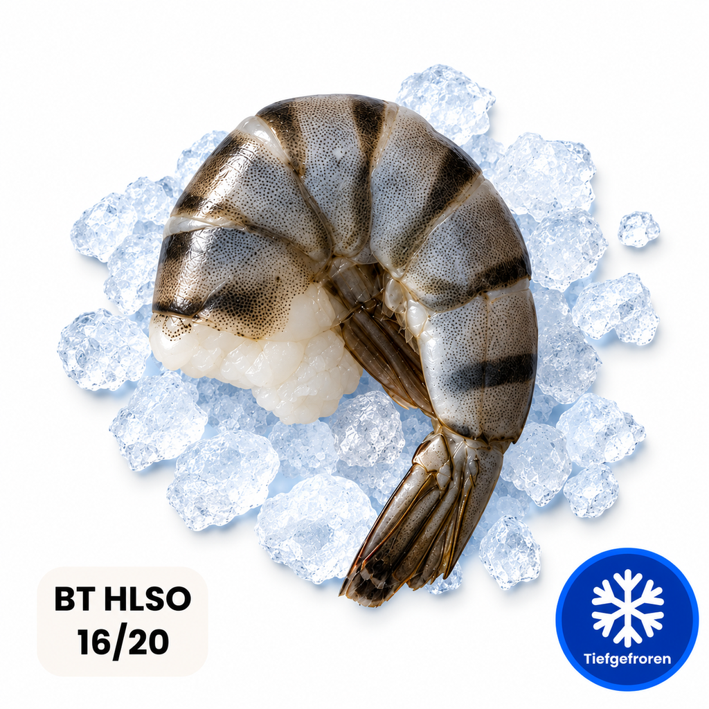 [2008] Black Tiger Garnelen HLSO 16/20 1 kg