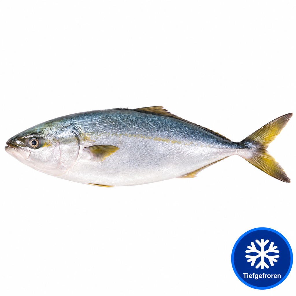 [3132] Hamachi Gelbschwanzfilet mit Haut (1.3-1.8KG) je kg