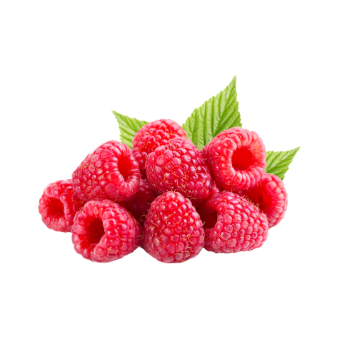 [9110] Himbeere 125g Schale