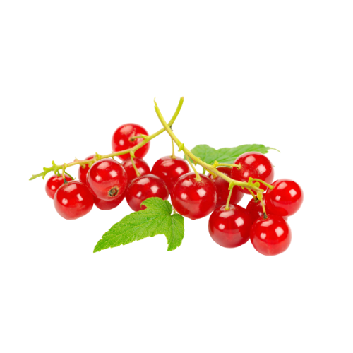 [9111] Johannisbeeren Rot 125g