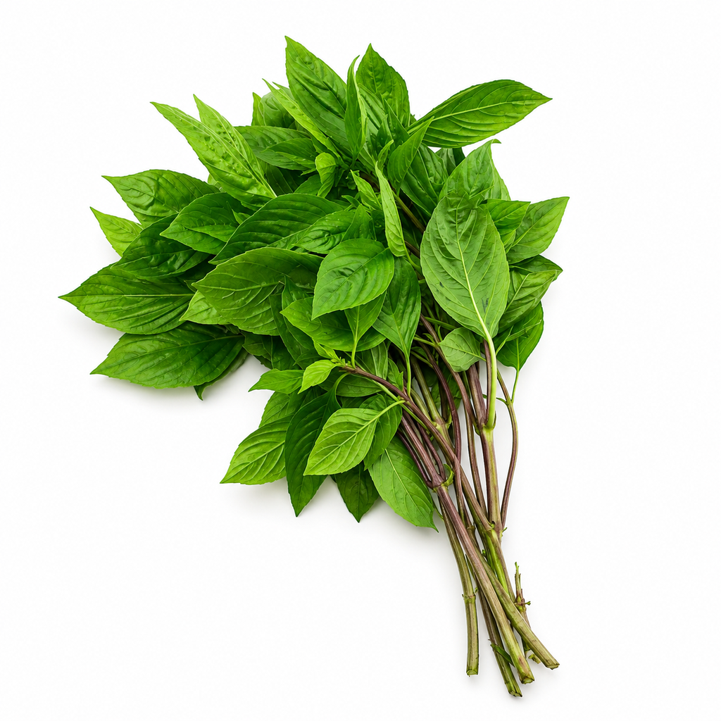[9037] Thai Basilikum 100g
